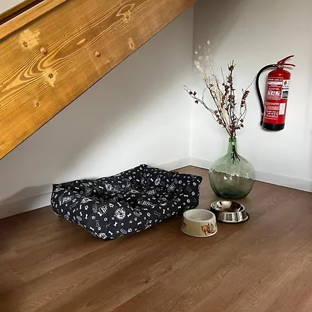 Appartement El Rincon Del Nomada