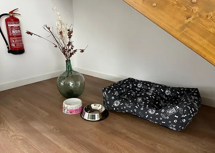 El Rincon Del Nomada * San Emiliano (Castile and Leon)